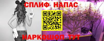 индика Нальчик
