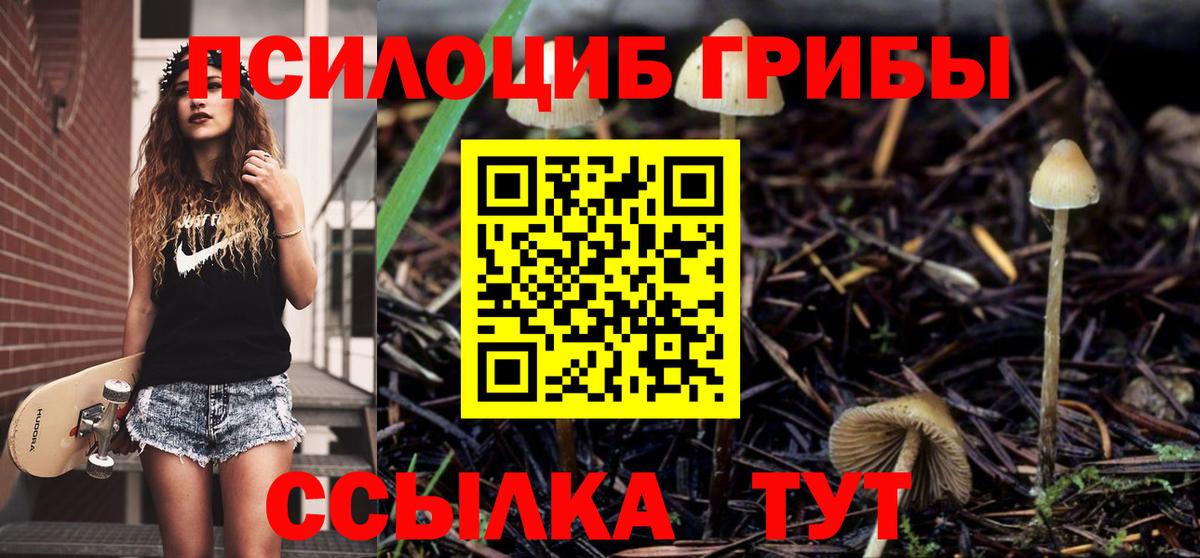 Галлюциногенные грибы мухоморы  Вход с VPN  Удомля 
