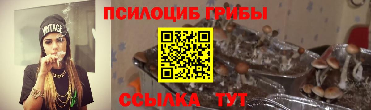 Псилоцибиновые грибы GOLDEN TEACHER Удомля